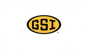 GSI Logo