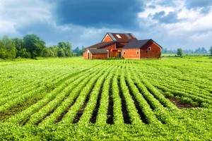 Agricultural farm