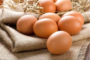Egg processing, packaging, handling and refrigeration