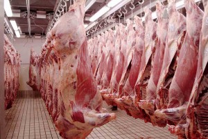 Meat processing,seasoning, packaging,handling, refrigeration